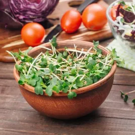 nasiona-rzodkiewka-daikon-nasiona-na-kielki-pikantne-premium-seeds-15-g