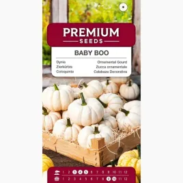 nasiona-dyni-baby-boo-dynia-ozdobna-do-gruntu-ogrod-premium-seeds-15-g