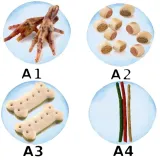 alpha-spirit-multiprotein-3kg-super-gratis-wiek-zwierzecia-psy-dorosle