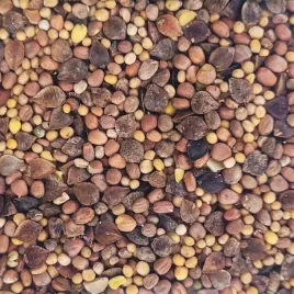 mieszanka-roslin-poplon-szybkorosnacy-1kg-gorczyca-45percent-rzodkiew40percent-gryka15percent