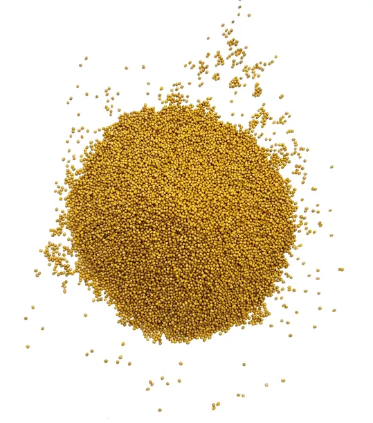 gorczyca-biala-material-paszowy-nasiona-20kg-cykl-rozwojowy-rosliny-jednoroczna