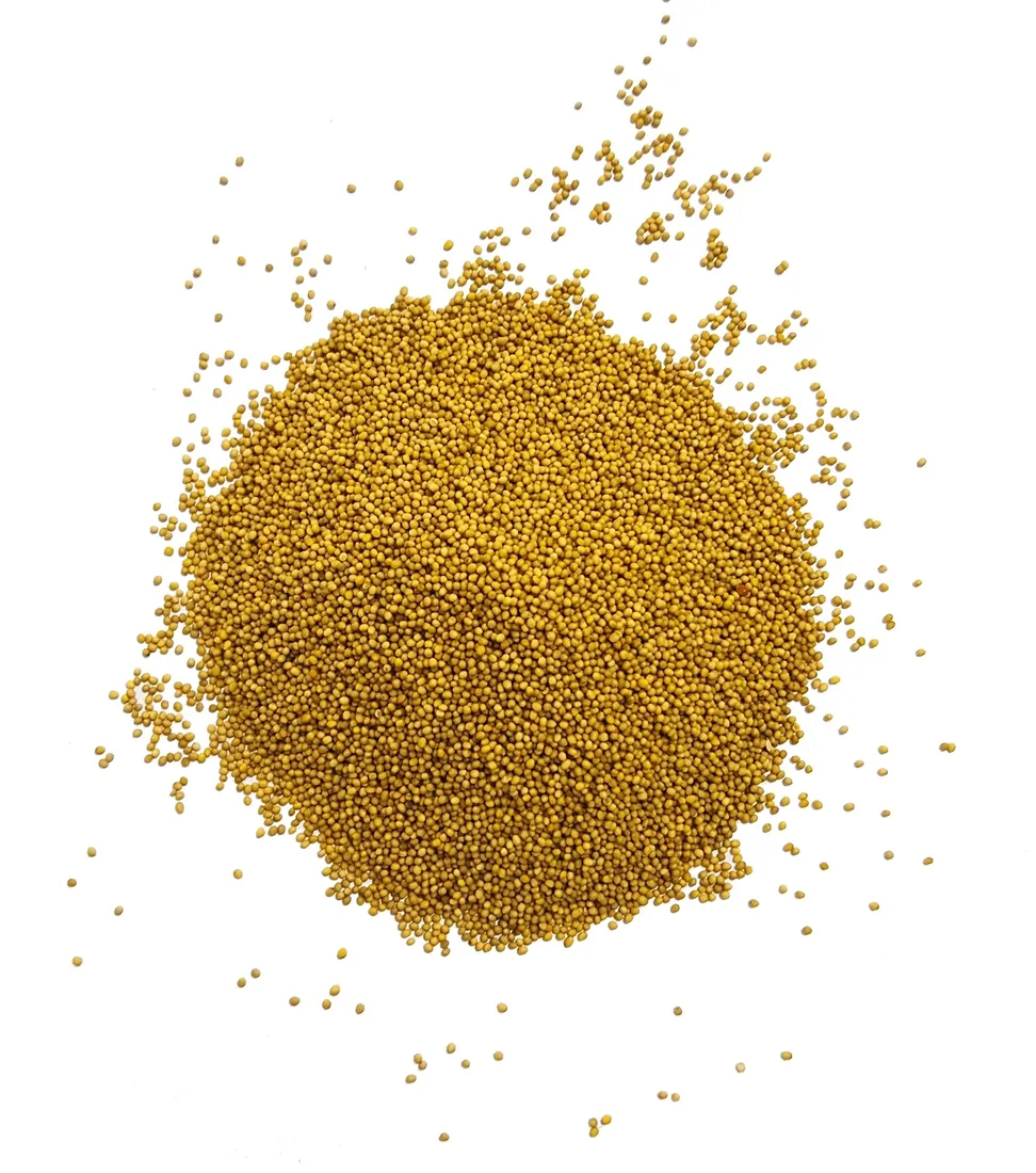 gorczyca-biala-material-paszowy-nasiona-20kg