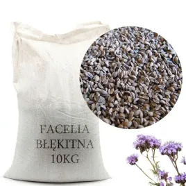 facelia-blekitna-stala-miododajna-na-poplon-10kg