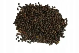 wyka-jara-ziarno-na-poplon-miododajna-1kg