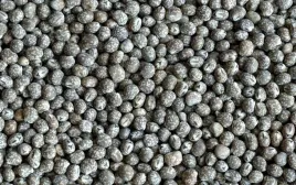 lubin-waskolistny-gorzki-nasiona-poplon-1kg