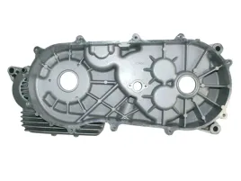 karter-lewy-kompletny-atv-alaska-300-dinli-quad-barossa-masai-bashan