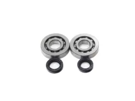 lozyska-walu-piaggio-typhoon-50-simmeringi