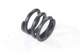 sprezyna-zaworu-olejowego-aston-125