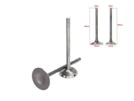 zawory-glowicy-atv-200cc-bashan