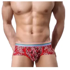sexy-meskie-czerwone-przeswitujace-slipki-l