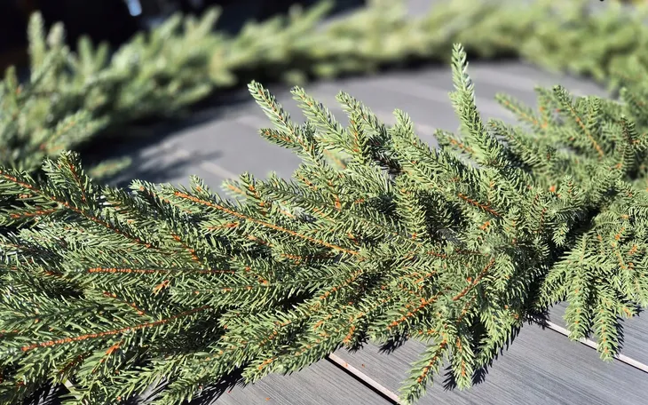 girlanda-swierk-3-metry-100percent-pe-300-cm-dluga-gesta-jak-naturalna-balustrada-rodzaj-choinki-sztuczna