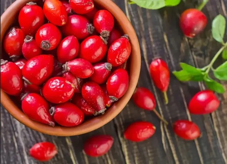 ochronny-krem-do-rak-z-olejem-z-dzikiej-rozy-hipoalergiczny-winter-75ml-marka-natura-siberica