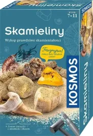 zestaw-archeologiczny-skamieliny
