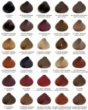 sanotint-classic-23-red-currant125ml-gratis-kolor-farby-rudosci-i-czerwienie