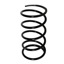 sprezyna-zawieszenia-tylne-pinin-short-mr374285