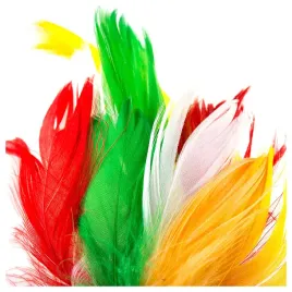 piorka-w-torebce-puch-dekoracyjny-piora-mix-kolorow-do-dekoracji-ozdobne