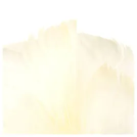 piorka-w-torebce-ecru-do-prac-kreatywnych-dekoracyjne-puch-piora-ozdobne