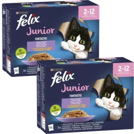 felix-fantastic-junior-karma-dla-kociat-w-galaretce-85-g-x-24