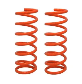 sprezyny-tylne-para-pathfinder-r51-55020-eb31a-eu