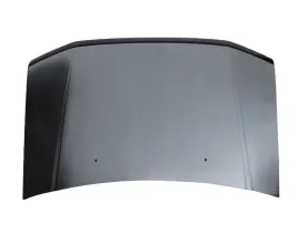 maska-pokrywa-silnika-pinin-1-8-2-0gdi-mr496153-oe