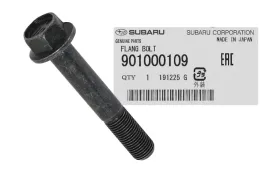 sruba-wahacza-tyl-frester-legacy-outback-tribeca