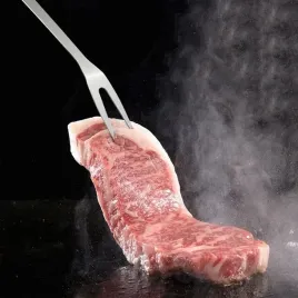 akcesoria-do-grilla-zestaw-5-szt-sztucce-do-grillowania-stalowe-pokrowiec