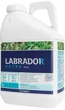 labrador-extra-50ec-5l-chwasty-perz