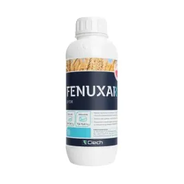 fenuxar-69-ew-1-l-miotla-zbozowa-gluchy-owies-chwastnica-w-trawniku-10-24