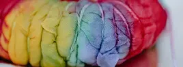 farbki-do-tkanin-zestaw-20-kolorow-tie-dye-kit-farba-tekstylna-do-ubran