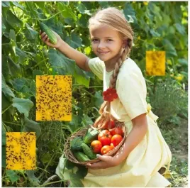 zolte-tablice-lepowe-na-ziemiorki-10-szt-dwustronny-lep-biodegradowalne
