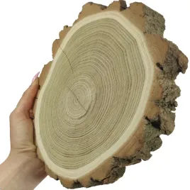 plaster-akacji-krazek-drewniany-z-kora-plaster-drewna-akacja-szlif-25-30cm