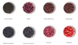 lovare-herbata-wild-berry-80g-kraj-pochodzenia-sri-lanka