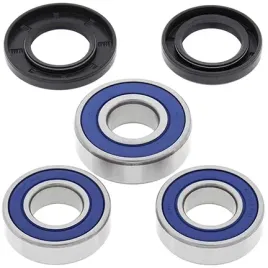 lozyska-kola-tylnego-z-uszczelniaczami-all-balls-25-1066-suzuki-dr350-90-99