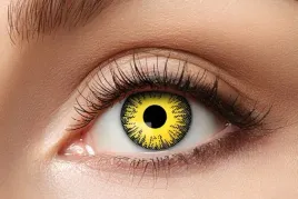 soczewki-roczne-sunflower-slonce-halloween