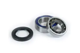 lozyska-kola-z-uszczelniaczami-prox-23-s110010-25-1010-honda-trx-350te-tm