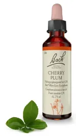 6-cherry-plum-sliwa-wisniowa-20-ml-nelson-bach