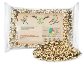 nowoczesny-karmnik-dla-ptakow-z-ziarnem-1kg-birdyfeed-round-wytrzymaly