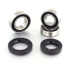 lozyska-kola-tylnego-z-uszczelniaczami-bearing-worx-wbk25002-25-1458