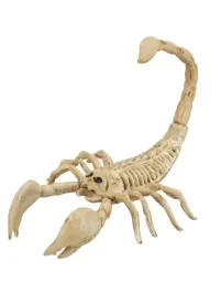 dekoracja-szkielet-skorpiona-skorpion-pajeczak-30-cm-kosci-halloween