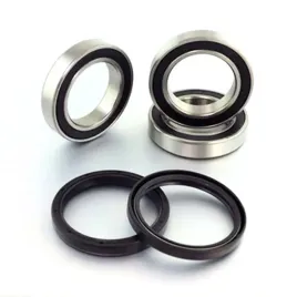 lozyska-kola-tylnego-z-uszczelniaczami-bearing-worx-wbk30017-25-1479