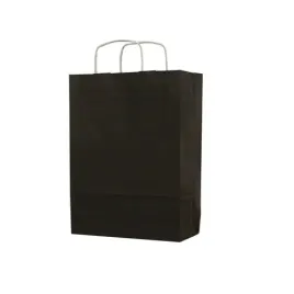 torba-papierowa-eko-czarna-305x170x425mm-10-szt