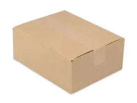 karton-pudelko-250x200x100-mm-100szt-pudlo-klapowe