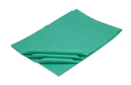 bibula-gladka-38x50-cm-100-arkuszy-zielona
