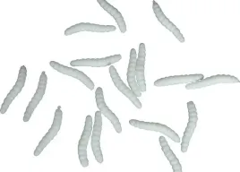 straszne-gumowe-robaki-4-cm-20-szt-halloween-larwy-robaczki-robale-biale