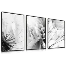 zestaw-x3-plakat-w-ramie-czarno-biale-kwiaty-dmuchawce-do-sypialni-60x80