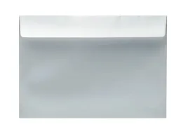 koperty-ozdobne-matowe-srebrne-c5-120g-m-50szt