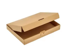 karton-wykrojnikowy-300x200x50-mm-pudelko-100szt