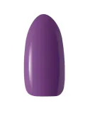 claresa-lakier-hybrydowy-warmin-fall-5-5g-nazwa-koloru-producenta-warmin-fall-5