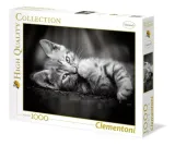 puzzle-1000-elementow-clementoni-koteczek