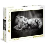 puzzle-1000-elementow-clementoni-koteczek-stan-nowy